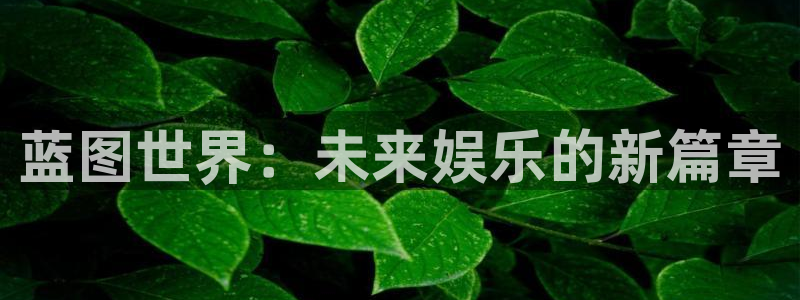 壹号国际app免费下载安装