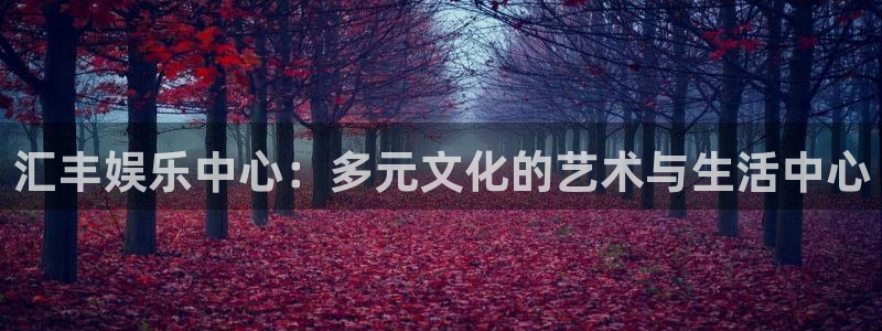 壹号大舞台28国际大舞台