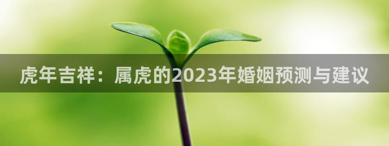 壹号大舞台娱乐传媒