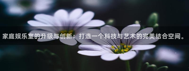 壹号电子娱乐app下载安装最新版本