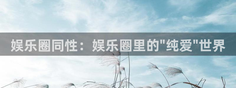 卧龙娱乐强制退款流程详解