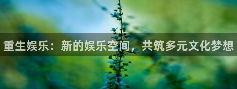 卧龙娱乐能退款吗