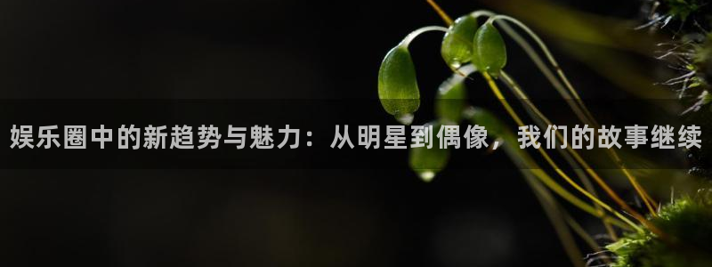 壹号app官网版下载