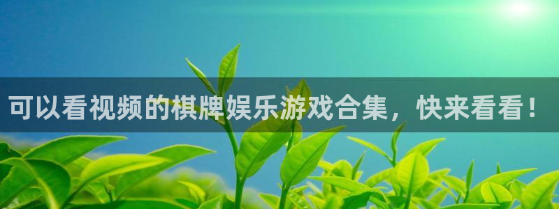 壹号国际app免费下载安装
