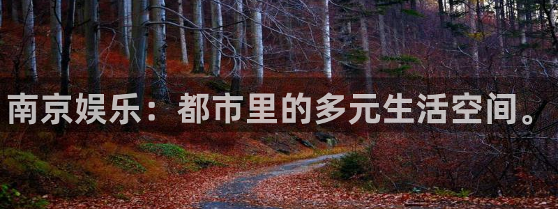 卧龙娱乐app官网下载苹果