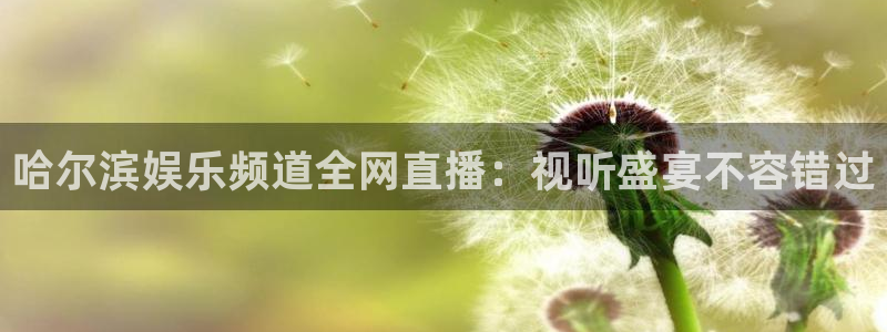 卧龙娱乐com