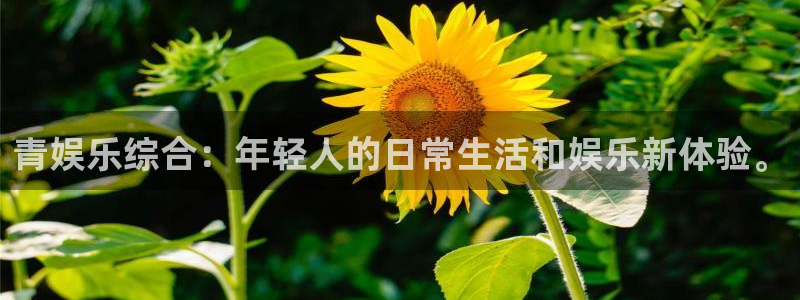 壹号大舞台
