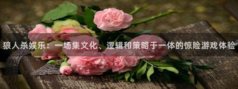 壹号大舞台官网