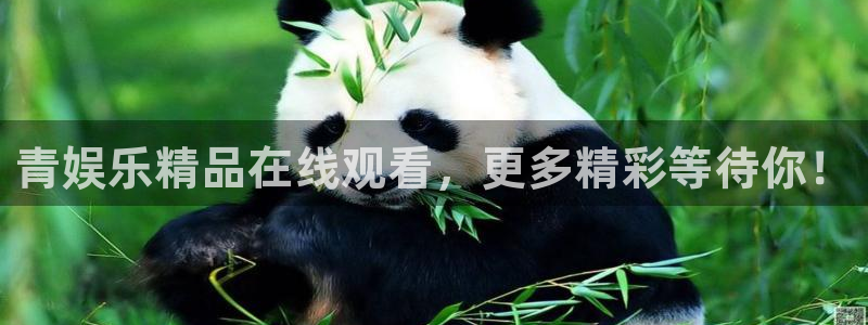 壹号大舞台28国际大舞台