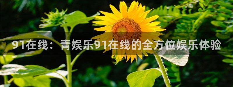 卧龙娱乐app下载地址