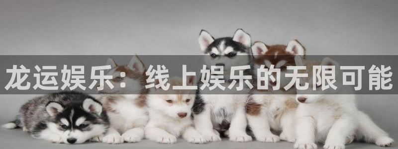 卧龙娱乐app最新版怎么下载苹果