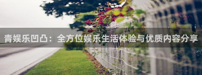 卧龙娱乐官方app下载安装