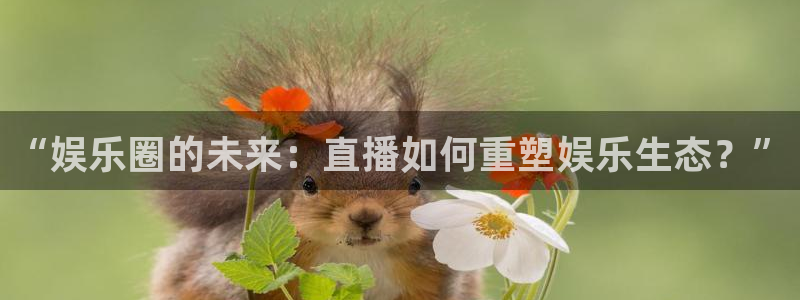 卧龙娱乐科技赋能,让平台更有趣