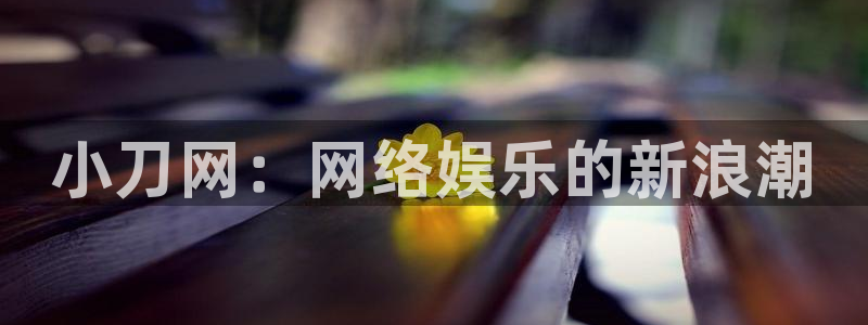 卧龙娱乐app官网：小刀网：网络娱乐的新浪潮