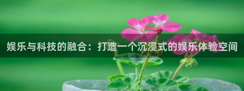 卧龙娱乐充值怎么退款：娱乐与科技的融合：打造一个沉浸式的娱乐体验空间