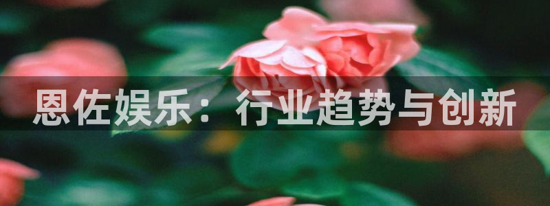 卧龙娱乐app下载：恩佐娱乐：行业趋势与创新
