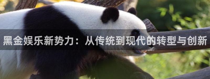 卧龙娱乐app官网下载：黑金娱乐新势力：从传统到现代的转型与创新