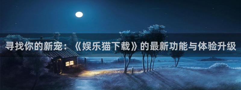 壹号电子娱乐app下载最新版本：寻找你的新宠：《娱乐猫下载》的最新功能与体验升级