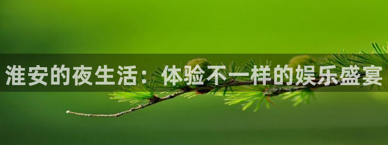 壹号电子娱乐app下载最新版：淮安的夜生活：体验不一样的娱乐盛宴