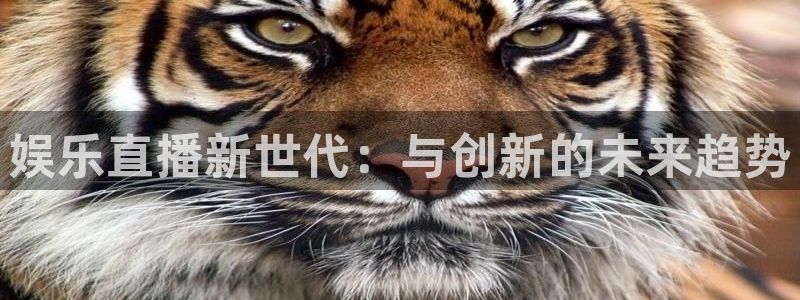 壹号电子娱乐app下载安装最新版本：娱乐直播新世代：与创新的未来趋势