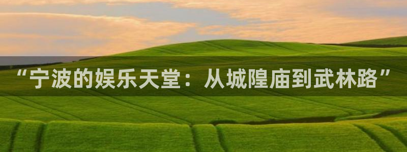 壹号平台app下载安装：“宁波的娱乐天堂：从城隍庙到武林路”