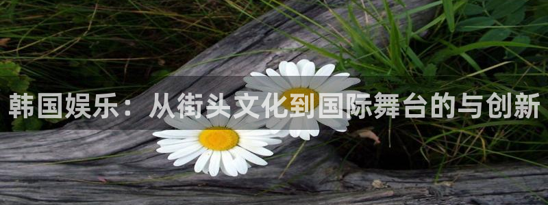 卧龙娱乐app入口：韩国娱乐：从街头文化到国际舞台的与创新