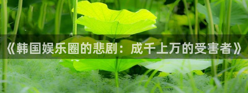 壹号app官网版下载：《韩国娱乐圈的悲剧：成千上万的受害者》