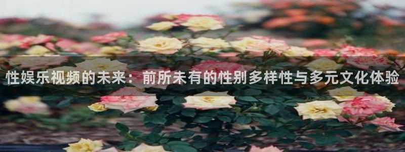 卧龙娱乐app官网下载：性娱乐视频的未来：前所未有的性别多样性与多元文化体验