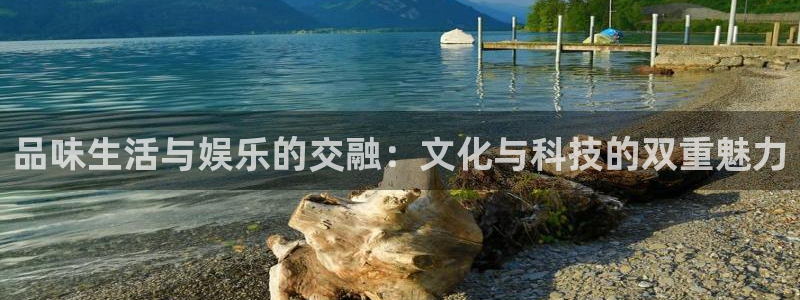 卧龙娱乐app官网：品味生活与娱乐的交融：文化与科技的双重魅力