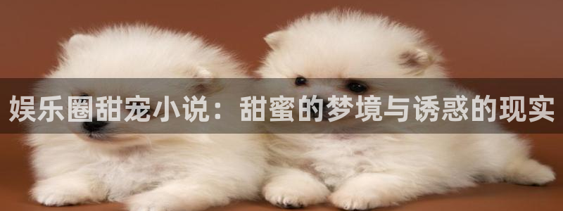 壹号app下载：娱乐圈甜宠小说：甜蜜的梦境与诱惑的现实