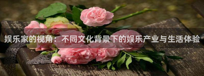 壹号平台娱乐：娱乐家的视角：不同文化背景下的娱乐产业与生活体验