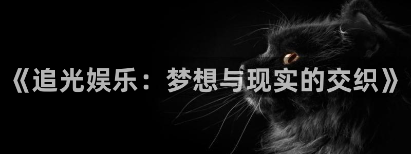 卧龙娱乐,apk.1：《追光娱乐：梦想与现实的交织》